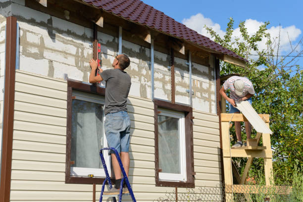 Best Aluminum Siding Installation  in Holton, KS