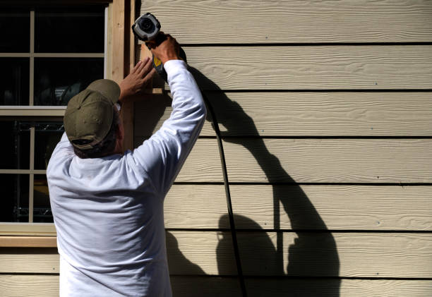 Best Vinyl Siding Installation  in Holton, KS